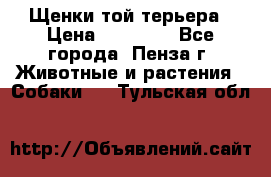 Щенки той терьера › Цена ­ 10 000 - Все города, Пенза г. Животные и растения » Собаки   . Тульская обл.